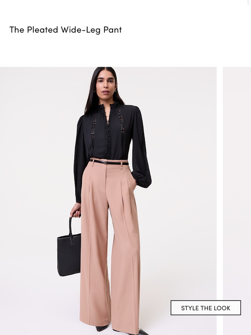 Ann Taylor petite pleated wide leg pants